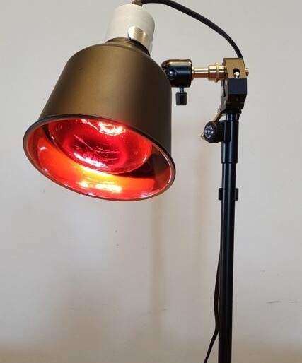 Item-Lampe chauffante IMG 20220202 122355-432x800.jpg