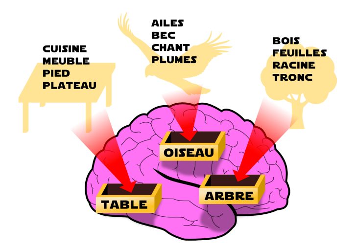 La perception en action Screenshot 20251127 151424.png