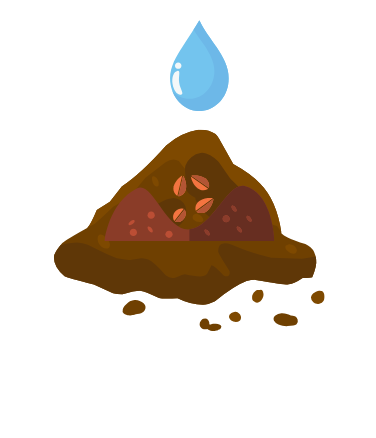 Bombes graines eau.png