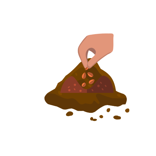 Bombes graines graines.png