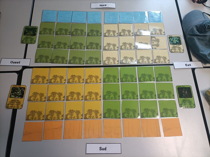 Plante vs climat IMG20250528094859.jpg