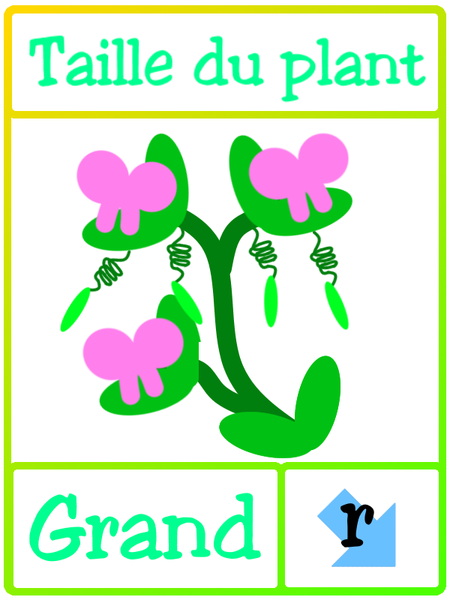 Fichier:Les petits poids de Mendel grand.png