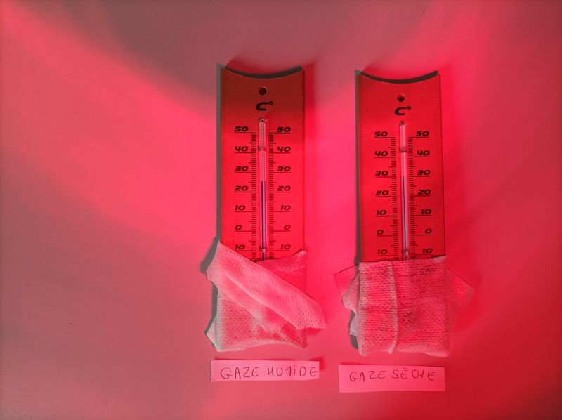 Thermom tre mouill IMG 20250312 154707.jpg