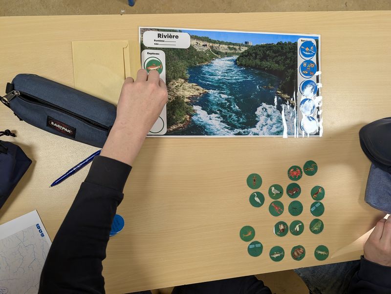 A chaque milieu ses especes et ses services 241126 Ecoflux Lesneven597.jpg