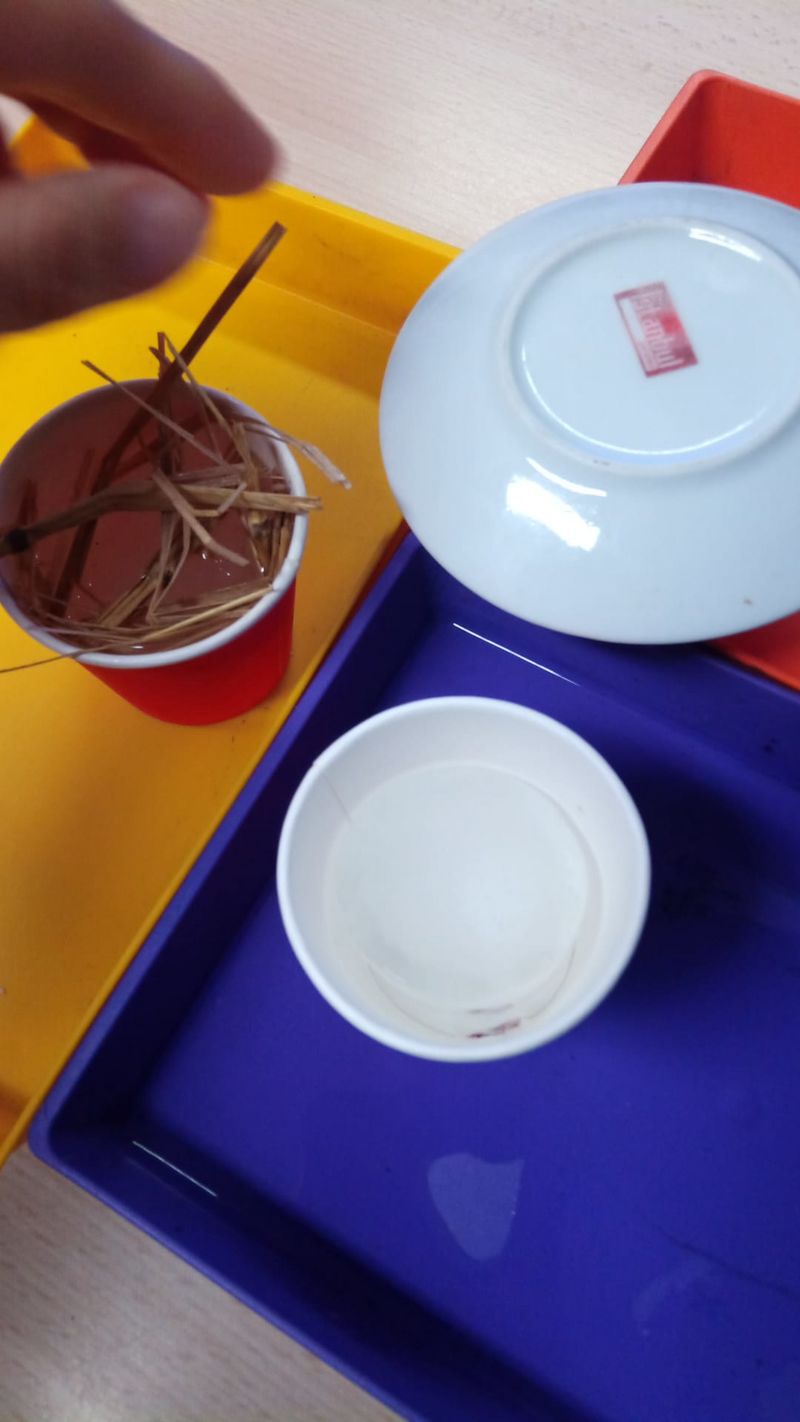 Les glaci res de la Sainte-Baume - conserver la glace au coeur de l t IMG-20250320-WA0004.jpg