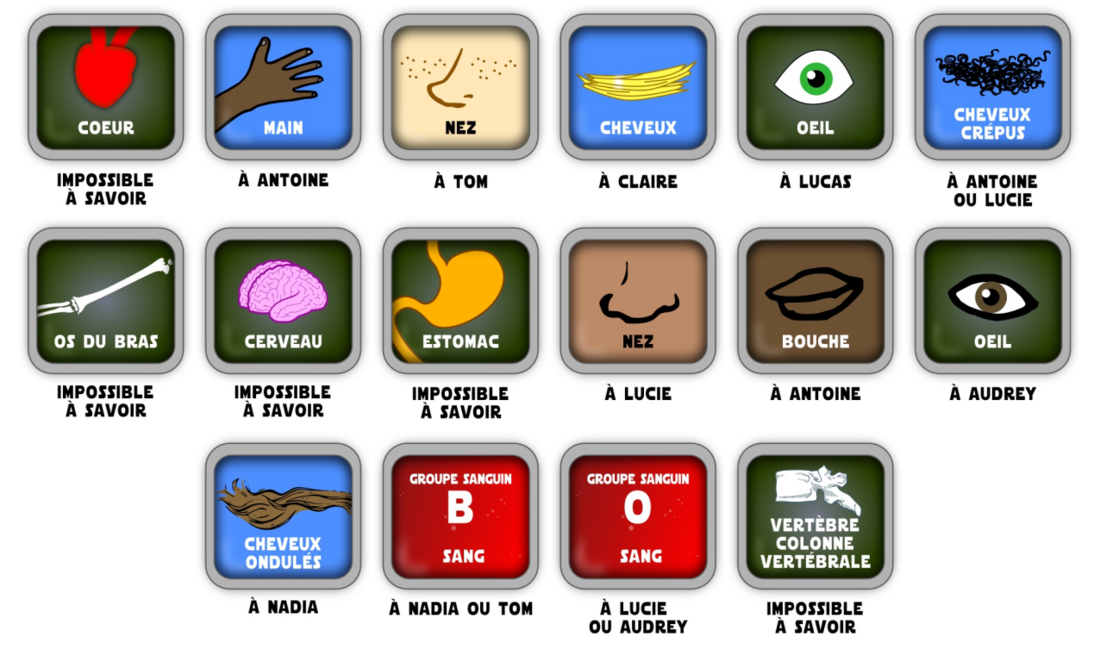 À qui appartient cette partie du corps, cet organe ou cet os ?