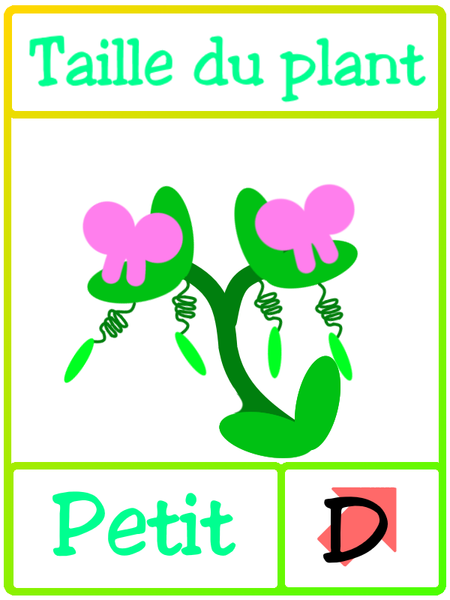 Fichier:Les petits poids de Mendel petit.png