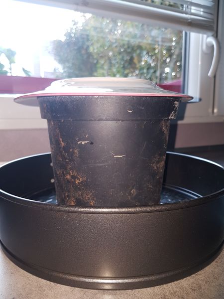 Fichier:Fabrication d un composteur 91727531 239440650579103 5330932709378228224 n.jpg