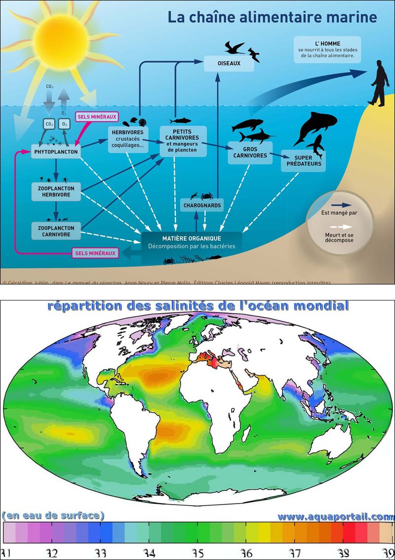 Item-Visuels annexes 3.jpg