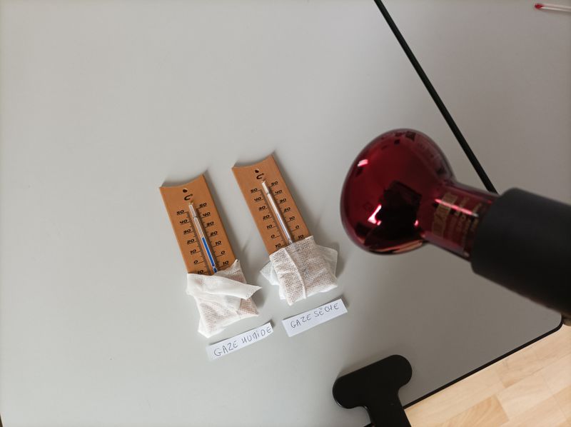 Thermom tre mouill IMG 20250312 153908.jpg