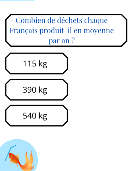 Fichier:Quiz sur le d veloppement durable 9.png
