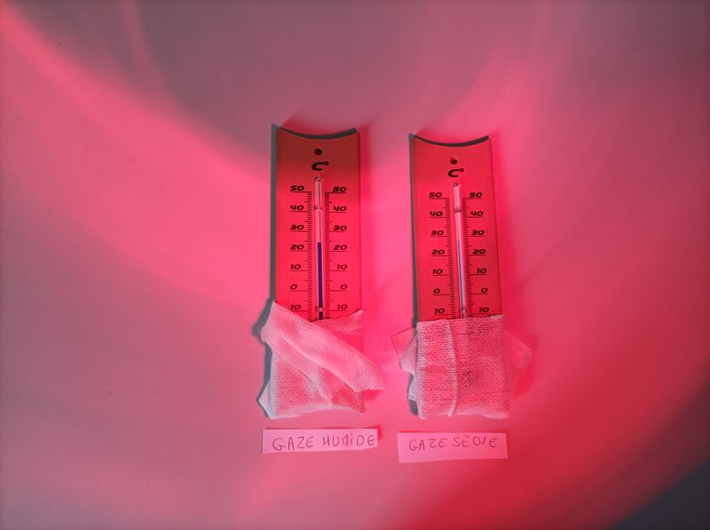 Thermom tre mouill IMG 20250312 154339.jpg