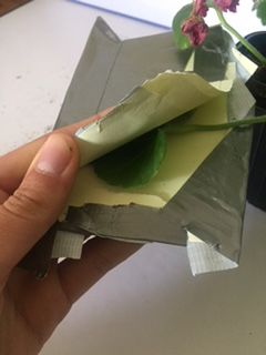 Fichier:Les besoins des v g taux image2.jpeg