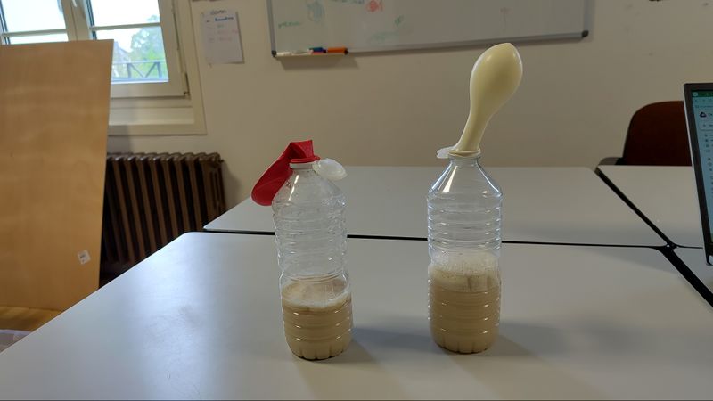 La biodiversit invisible notre service IMG 20250418 101936.jpg