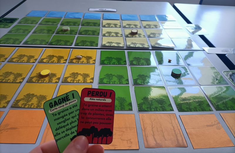 Plante vs climat IMG20250530142930.jpg