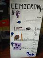 Quiz des tailles et Micro-nu IMG 20200903 152558.jpg