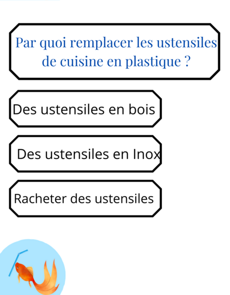 Fichier:Quiz sur le d veloppement durable 4.png