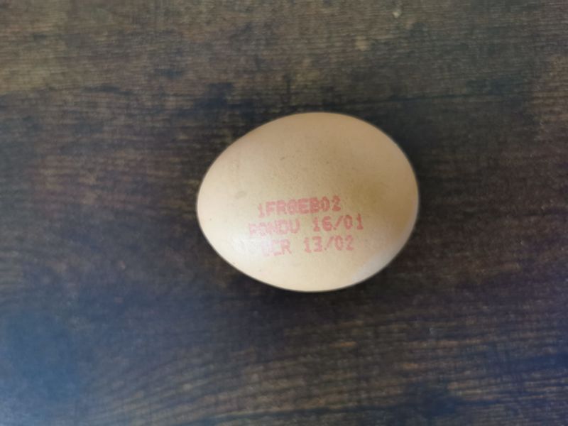 L oeuf qui tient debout WhatsApp Image 2025-02-12 14.42.44 de4f9a90.jpg