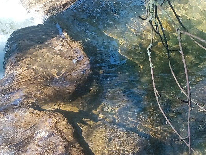 Les glaci res de la Sainte-Baume - conserver la glace au coeur de l t IMG 20250317 152814 780.jpg