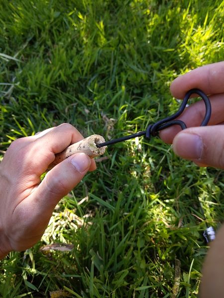 Fichier:Kazou v g tal IMG 20200525 170819.jpg