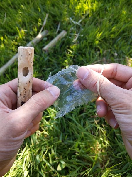 Fichier:Kazou v g tal IMG 20200525 173326.jpg