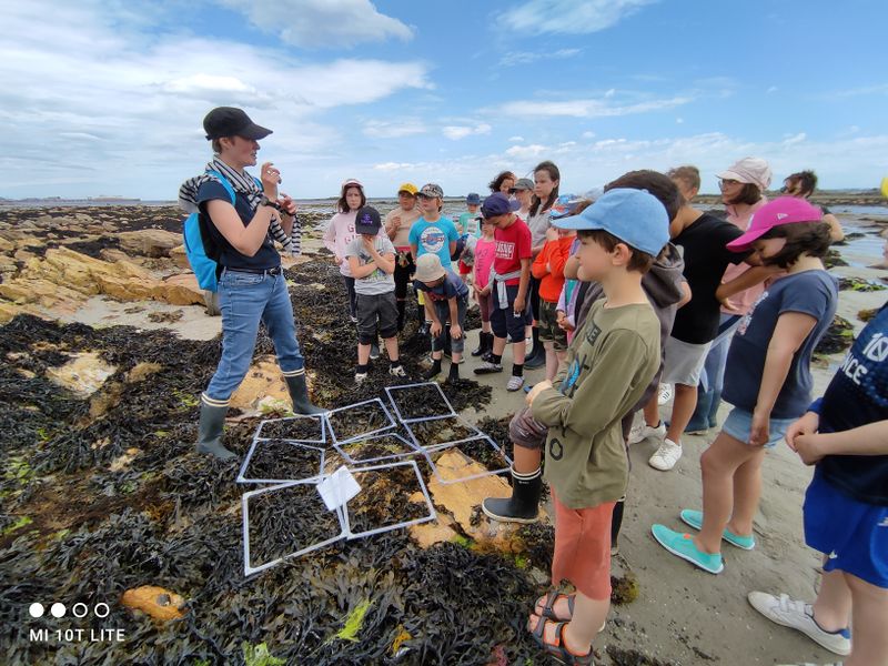 Decouverte des algues sur l estran Sortie-Estran-CM1-CM2-Charite-MmeCueff.jpg