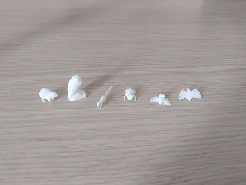 Jeu bioversant Esp ces.jpeg