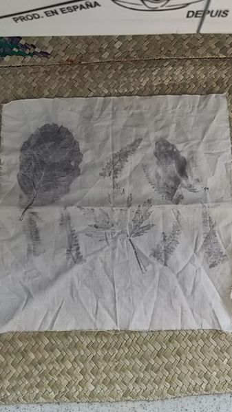 Fichier:Emprunte v g tale IMG 20200218 153831.jpg