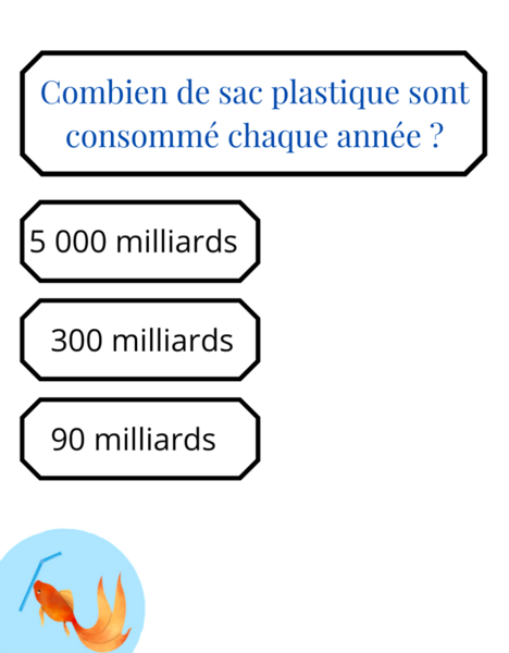 Fichier:Quiz sur le d veloppement durable 1.png