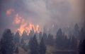 Incendie de foret-DomainePublic-red.jpg