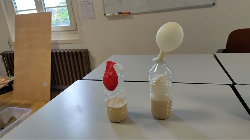 La biodiversit invisible notre service IMG 20250418 103422.jpg