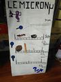 Quiz des tailles et Micro-nu IMG 20200903 152545.jpg