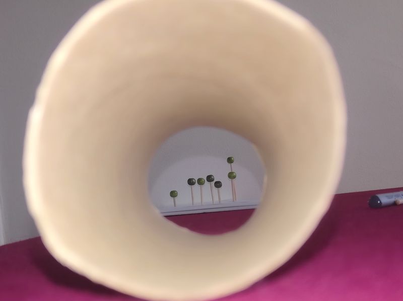 Fichier:Grande Ourse - quelle illusion vue tube.jpg