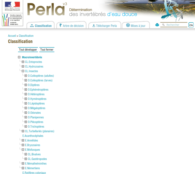 Fichier:D termination des invertb res d eau douce Capture7.png