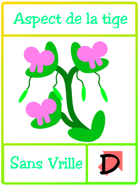 Fichier:Les petits poids de Mendel novrille.png