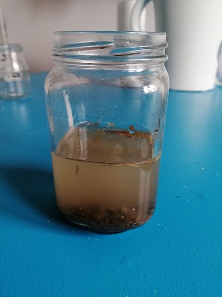 Fichier:Laver de l eau 161546913 751338909137406 1281079054168312384 n.jpg