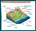 Le bassin versant Composition-Vocab-BV.jpg