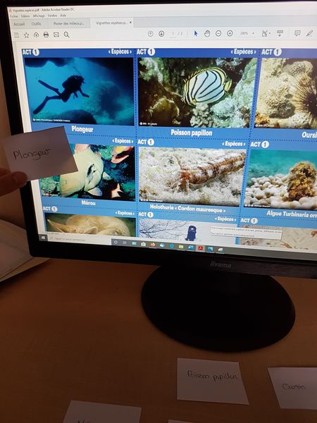 Fichier:Biodiversit - Diversit des esp ces et des milieux 96303660 538251090452897 1369640555021074432 n.jpg