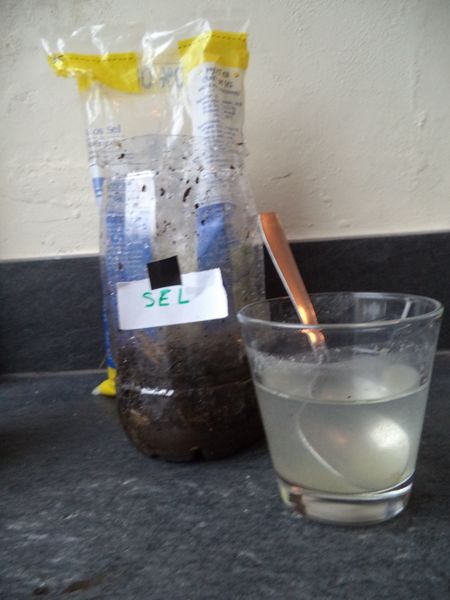 Fichier:Plantes et biocides Plantes et biocides 10 .JPG