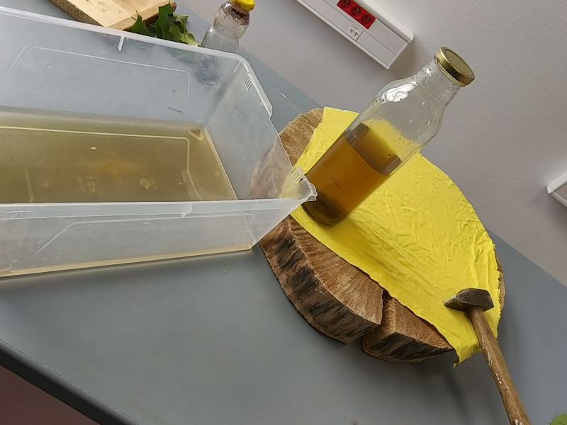 Fichier:Emprunte v g tale IMG 20191105 144143.jpg