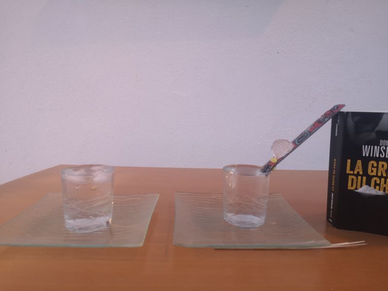 Fichier:La fonte des glaces IMG 20200322 192506-min.jpg