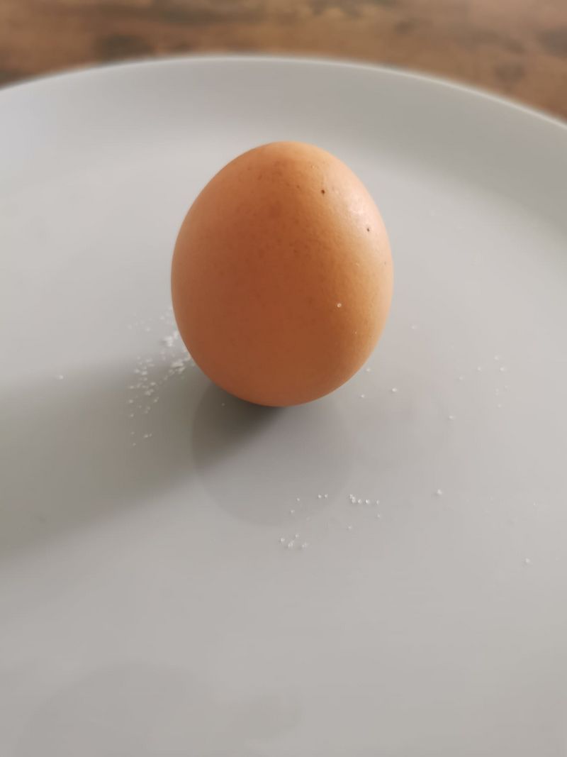 L oeuf qui tient debout WhatsApp Image 2025-02-12 14.42.25 389910ed.jpg