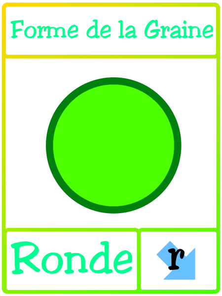 Fichier:Les petits poids de Mendel ronde.png