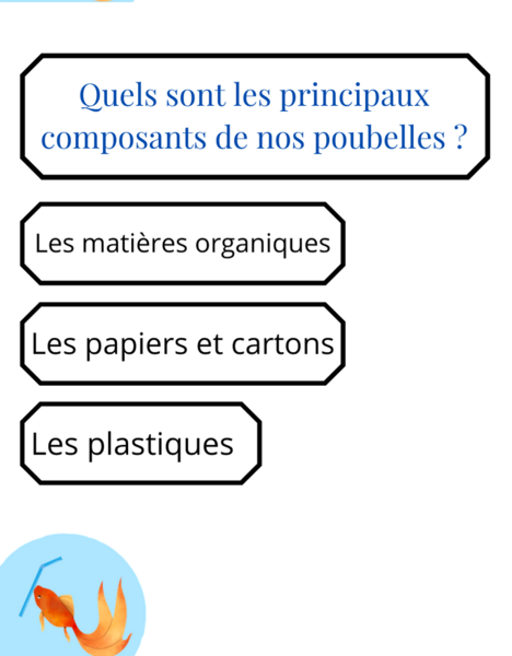Fichier:Quiz sur le d veloppement durable 10.png