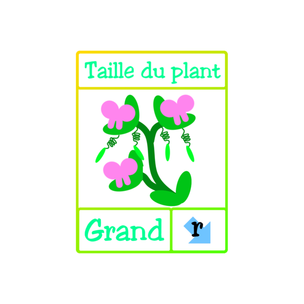 Fichier:Les petits poids de Mendel PTr.png