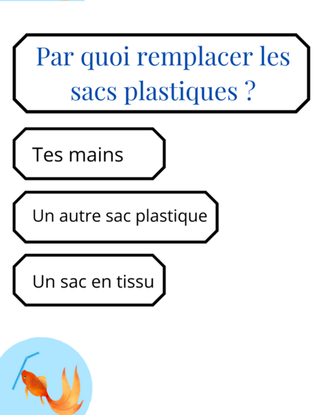 Fichier:Quiz sur le d veloppement durable 8.png