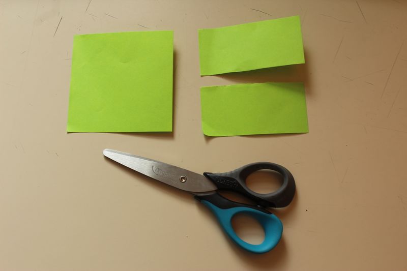 Fichier:D couvrir les habitants du sol IMG 9948.JPG