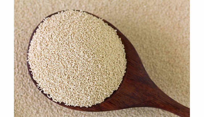 Item-Levure s che de boulanger levure-de-boulanger-fraiche-ou-seche-laquelle-privilegier-1642773377.jpg