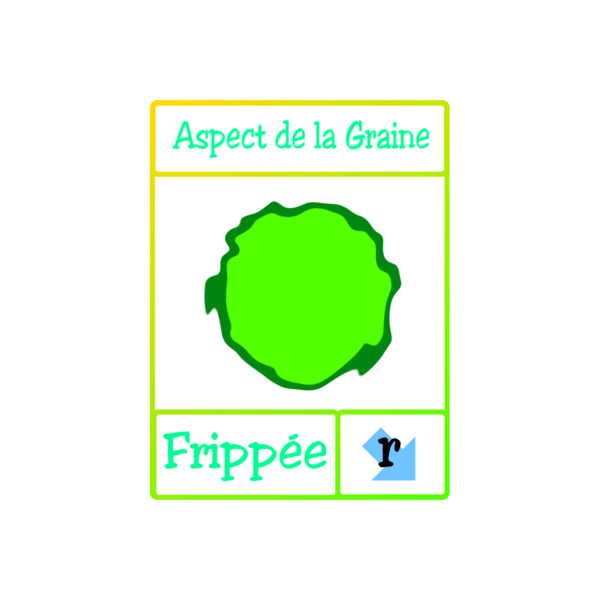 Fichier:Les petits poids de Mendel GAr.png